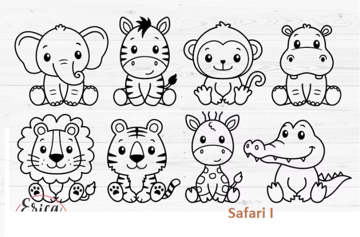 Safari 1.png